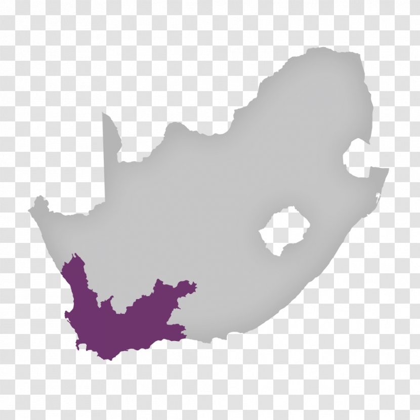 South Africa Vector Graphics Map Illustration Transparent PNG