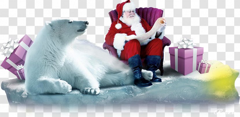Ded Moroz Santa Claus Snegurochka New Year Tree Clip Art - Christmas Transparent PNG