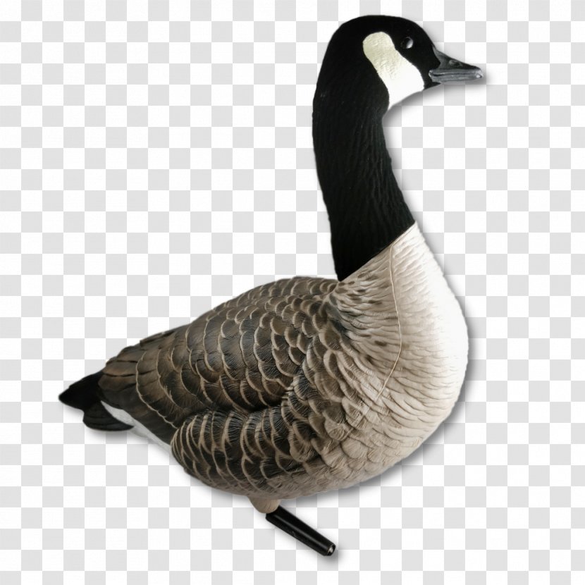 Canada Goose Duck Hunting & Wildlife Calls - Price - Beverage Holders Tractors Transparent PNG