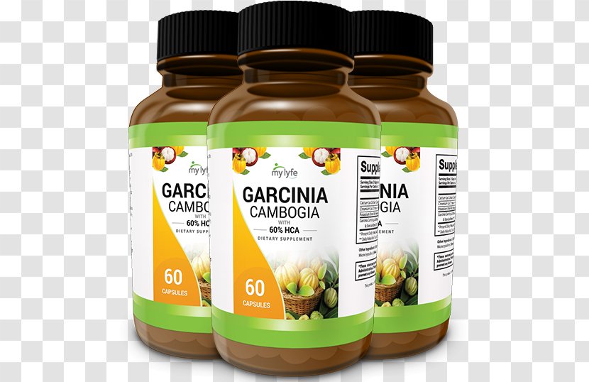 Garcinia Cambogia Weight Loss Dietary Supplement Food Adipose Tissue - Reduce Fat Transparent PNG