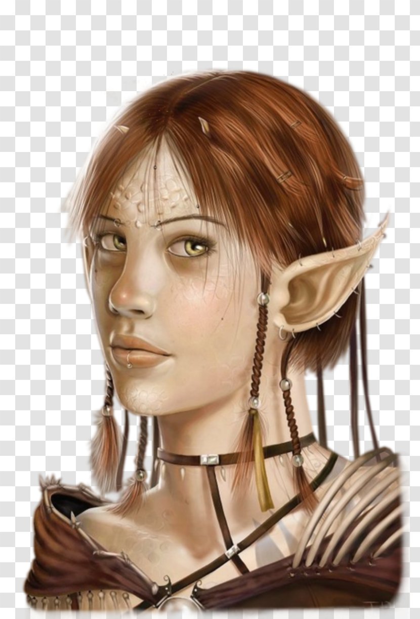 Elf Fairy Dungeons & Dragons High Fantasy - Forehead Transparent PNG