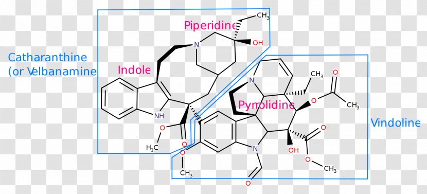 Vinca Alkaloid Product Point Functional Group - Tree - Heart Transparent PNG