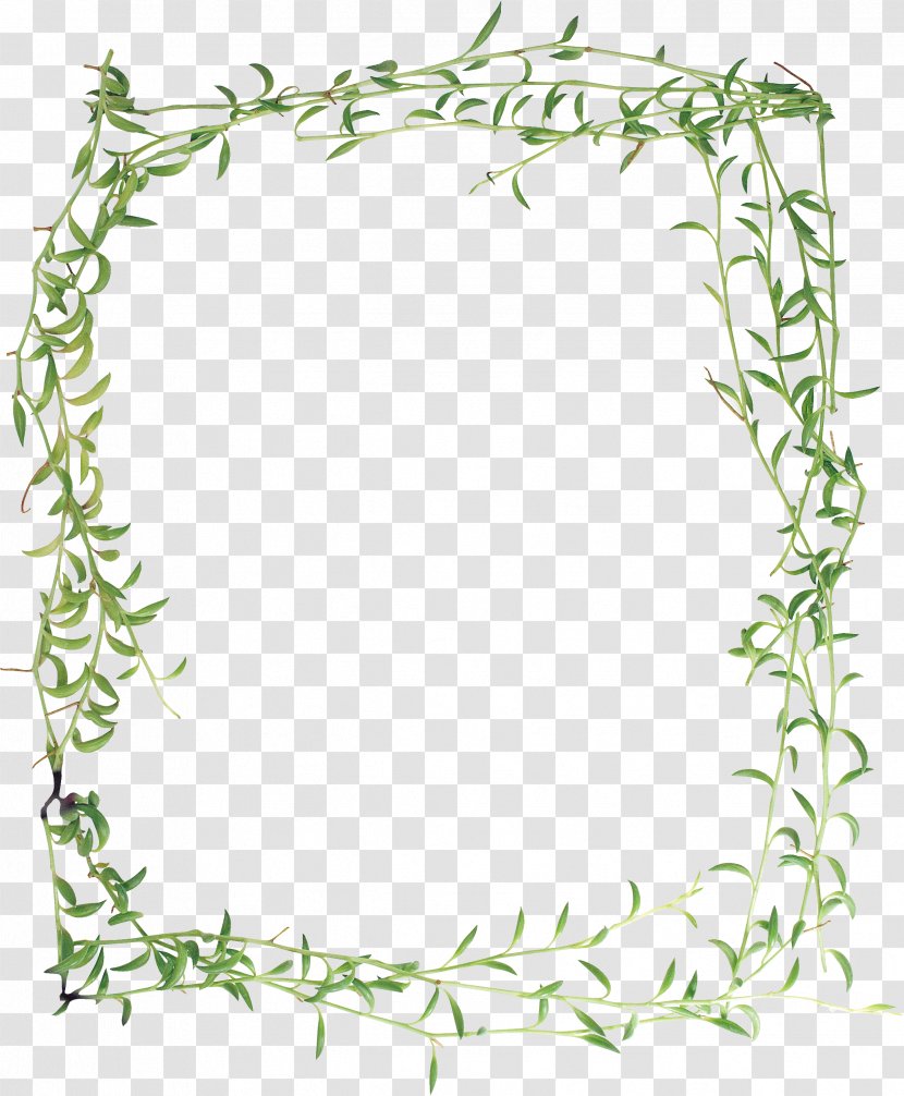 Picture Frames Photography Window Clip Art - Floral Design Transparent PNG