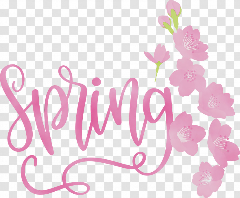 Floral Design Transparent PNG