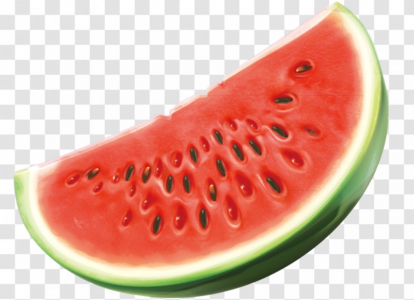 Watermelon Seed Oil Fruit - Melon - Red Green Black Vector Transparent PNG