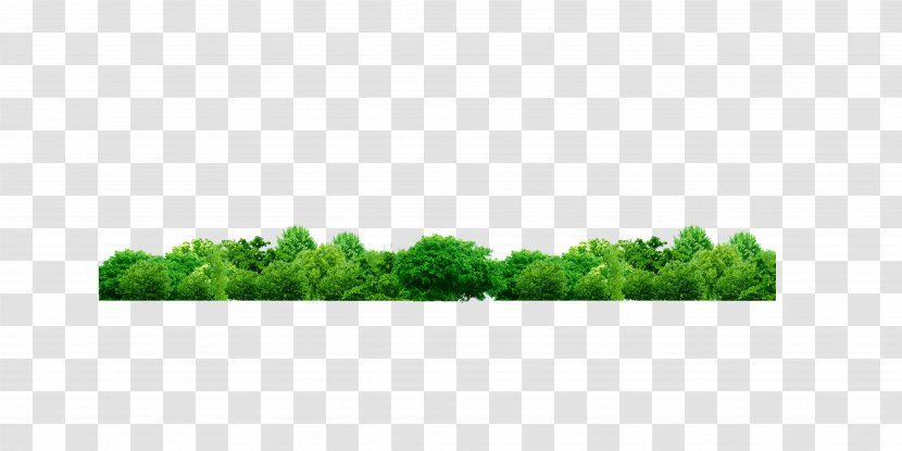 Green Tree Shrub Pattern - Plant - Grass Transparent PNG