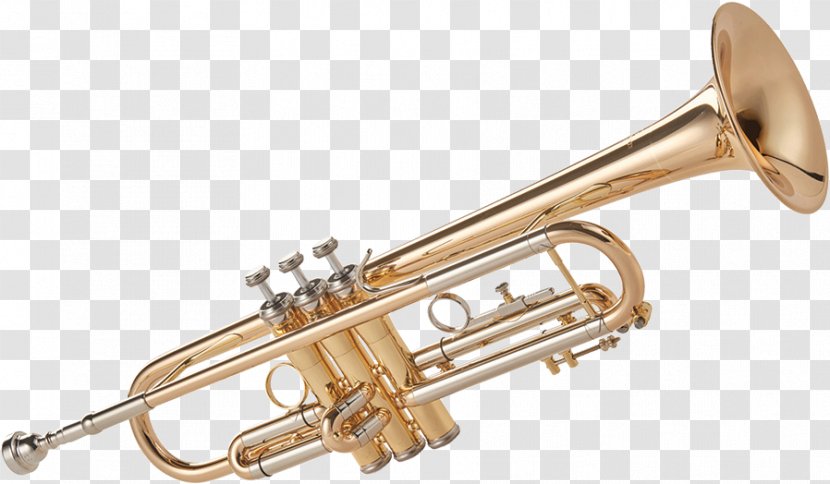 Trumpet Musical Instruments Wind Instrument Brass - Flower Transparent PNG