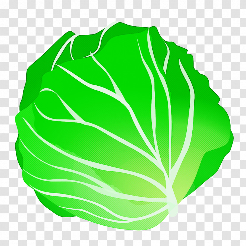 Green Cabbage Leaf Vegetable Leaf Vegetable Transparent PNG