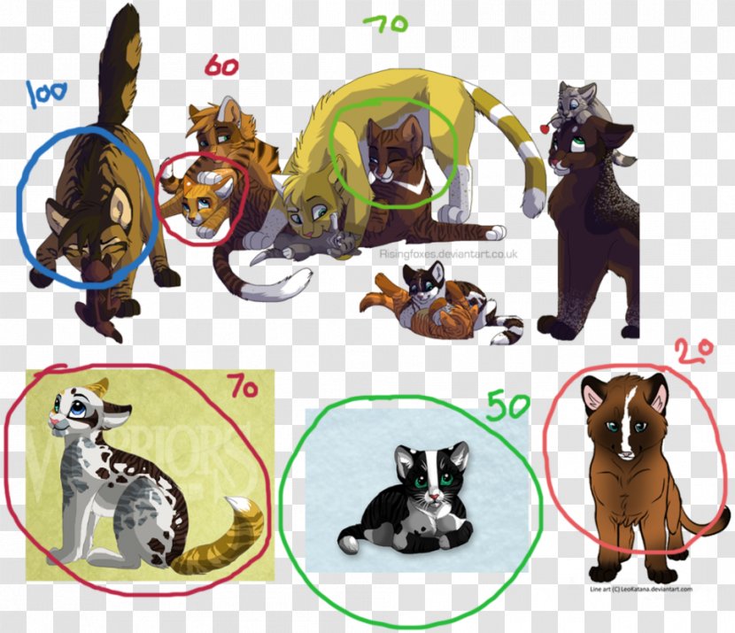 Cats Of The Clans Warriors Erin Hunter Kitten - Cat - Forever Kittens Rescue Transparent PNG