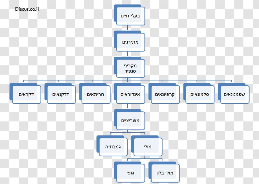 Melipilla Text Concept Map - Number - Design Transparent PNG