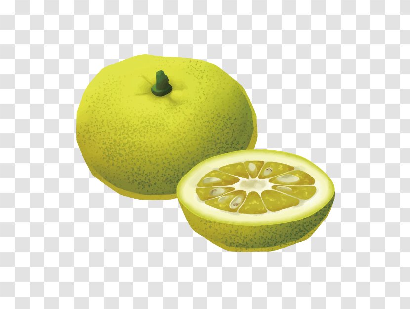 Drawing Cartoon - 3d Hand-painted Pictures Of Fruits Photos Transparent PNG