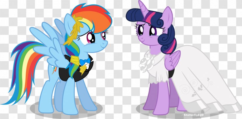Rainbow Dash Twilight Sparkle Pinkie Pie Pony Equestria - Heart - Worth Remembering Moments Transparent PNG