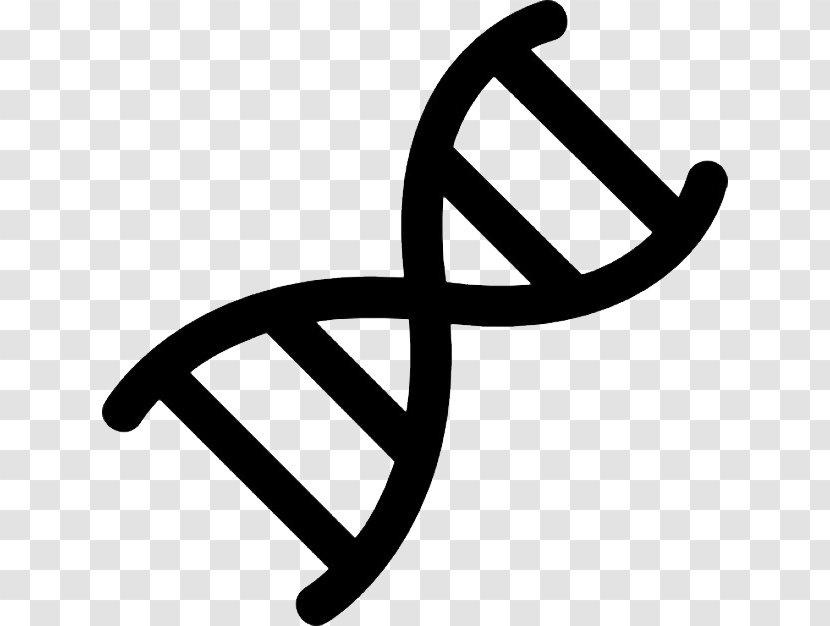 Nucleic Acid Double Helix DNA Symbol Genetics Transparent PNG
