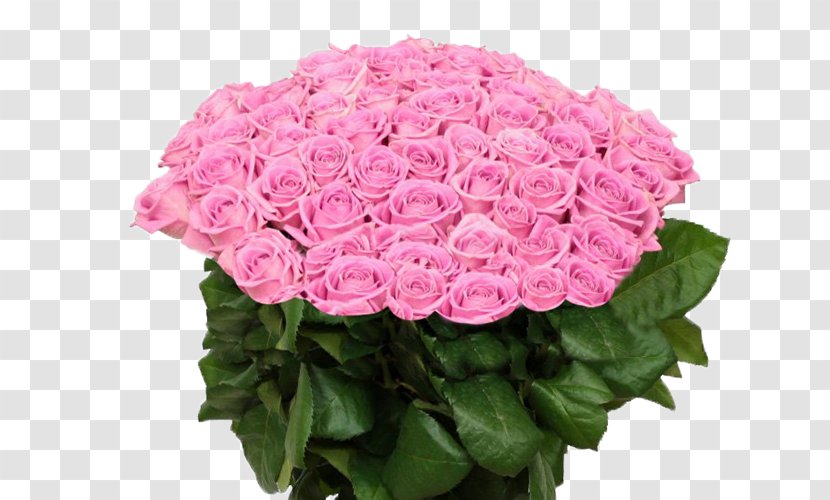 Garden Roses Tsvety Na Oktyabr'skoy Floral Design Cut Flowers - Flower Bouquet Transparent PNG