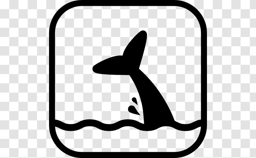 Clip Art - Whale Transparent PNG
