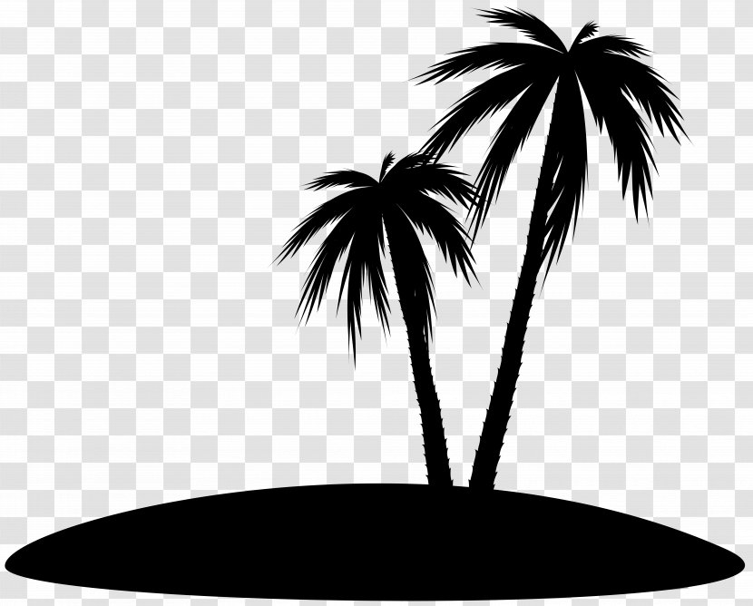 Palm Trees Clip Art Silhouette Line Leaf - Black Transparent PNG