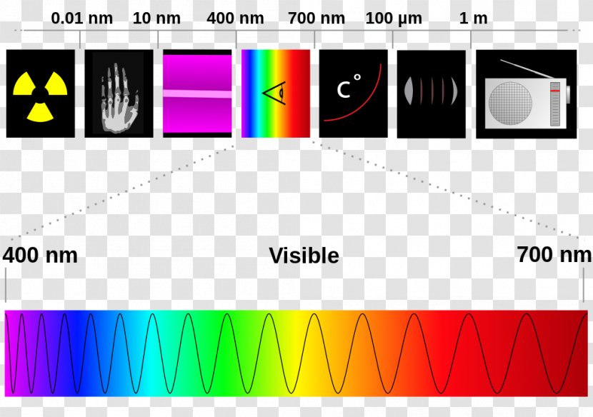 Light Electromagnetic Spectrum Radiation Visible Infrared - Heat - Vector Transparent PNG