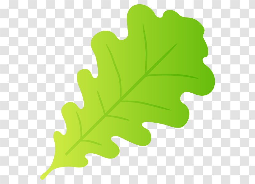 Leaf Plant Stem Tree - Green Transparent PNG