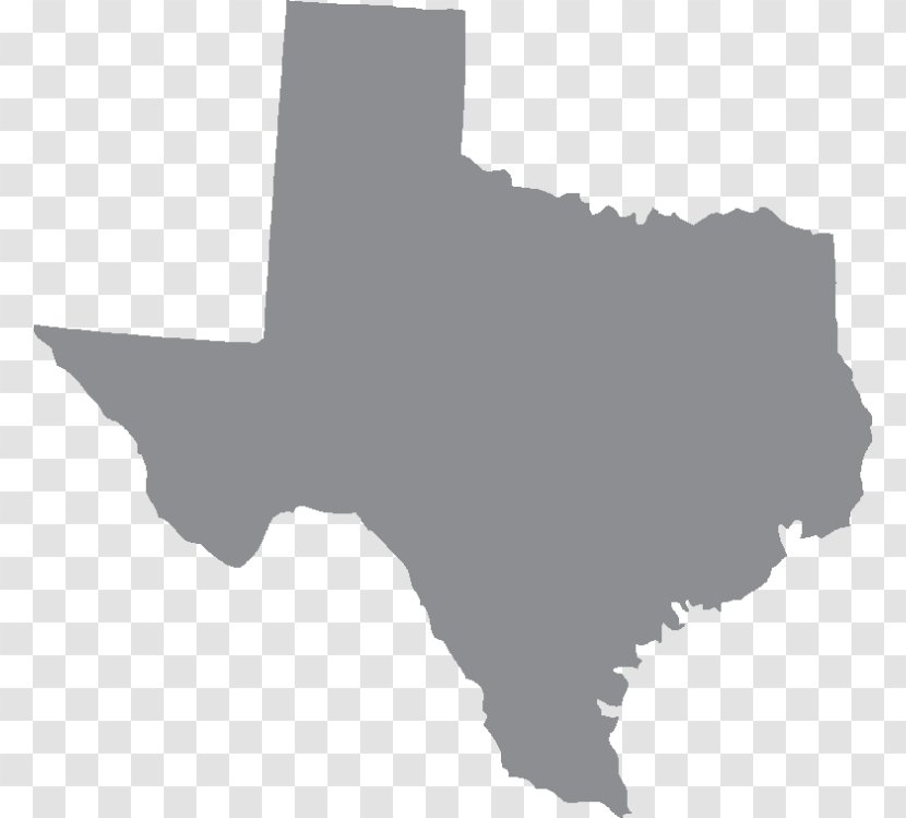 United States House Of Representatives Elections In Texas, 2010 Senator Texas Department State Health Services Lawyer Transparent PNG