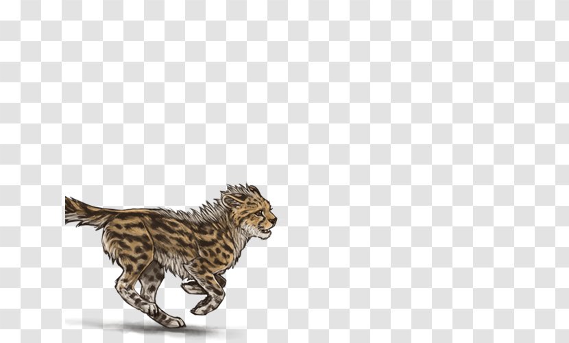 Cheetah Cat Animal Mammal Carnivora - Like Transparent PNG