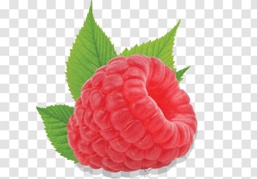 Strawberry Red Raspberry Accessory Fruit - Plant Transparent PNG