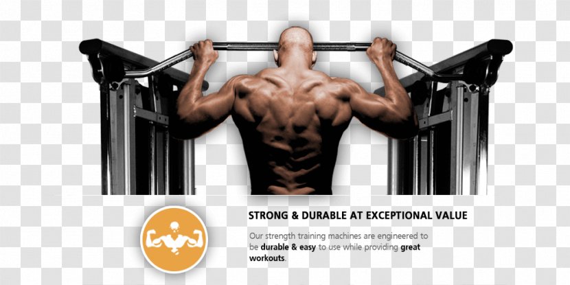 Physical Fitness Exercise Centre Weight Training Strength - Heart - Bodybuilding Transparent PNG