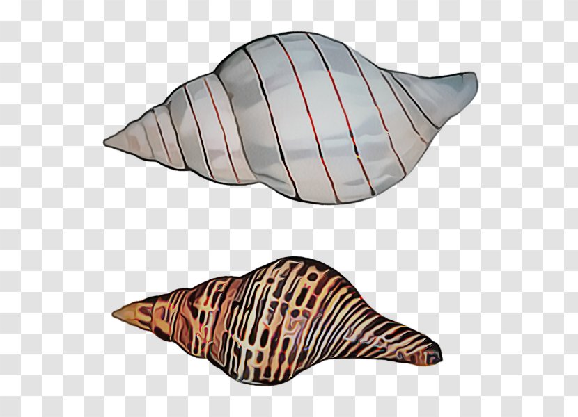 Conch Shankha Sea Snail Shell Transparent PNG