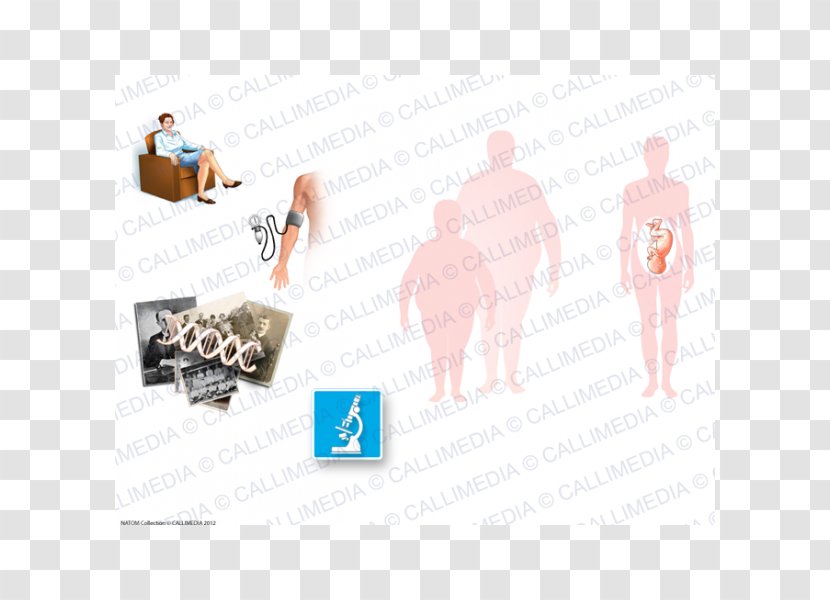 Diabetes Mellitus Diabetology Illustration Anatomique - Otorhinolaryngology - Ráº¯n 3d Transparent PNG