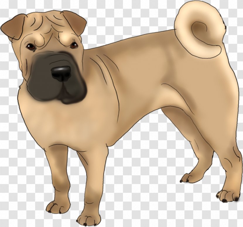 Shar Pei Pug Ancient Dog Breeds Companion - Breed Group Transparent PNG
