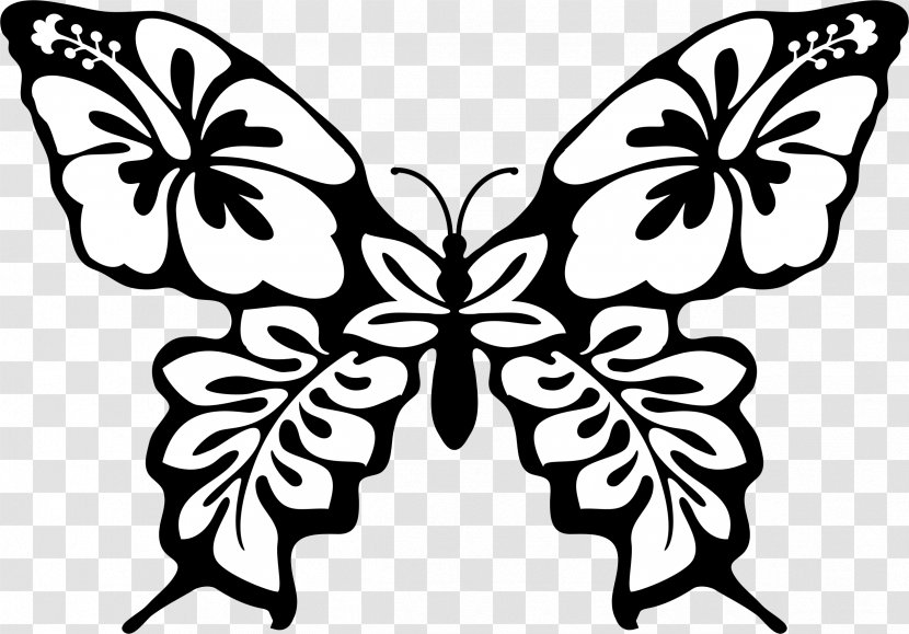 Butterfly Line Art Drawing Clip - Monochrome Transparent PNG