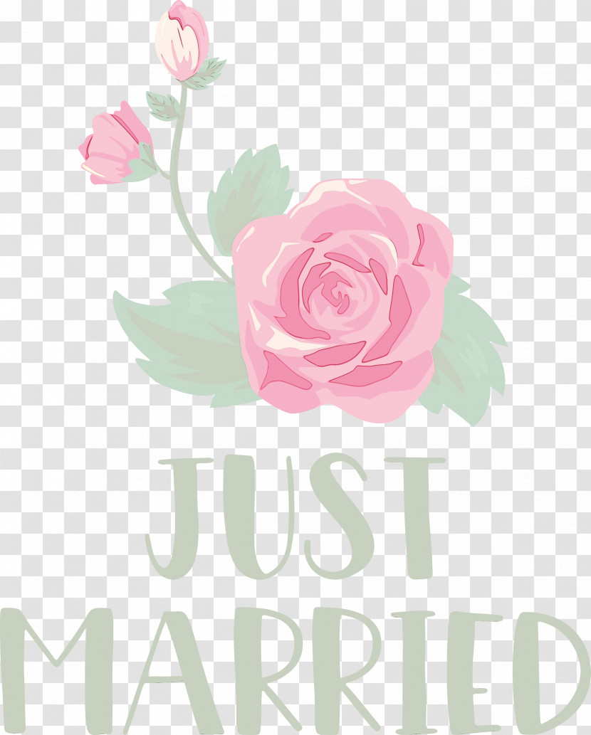 Floral Design Transparent PNG