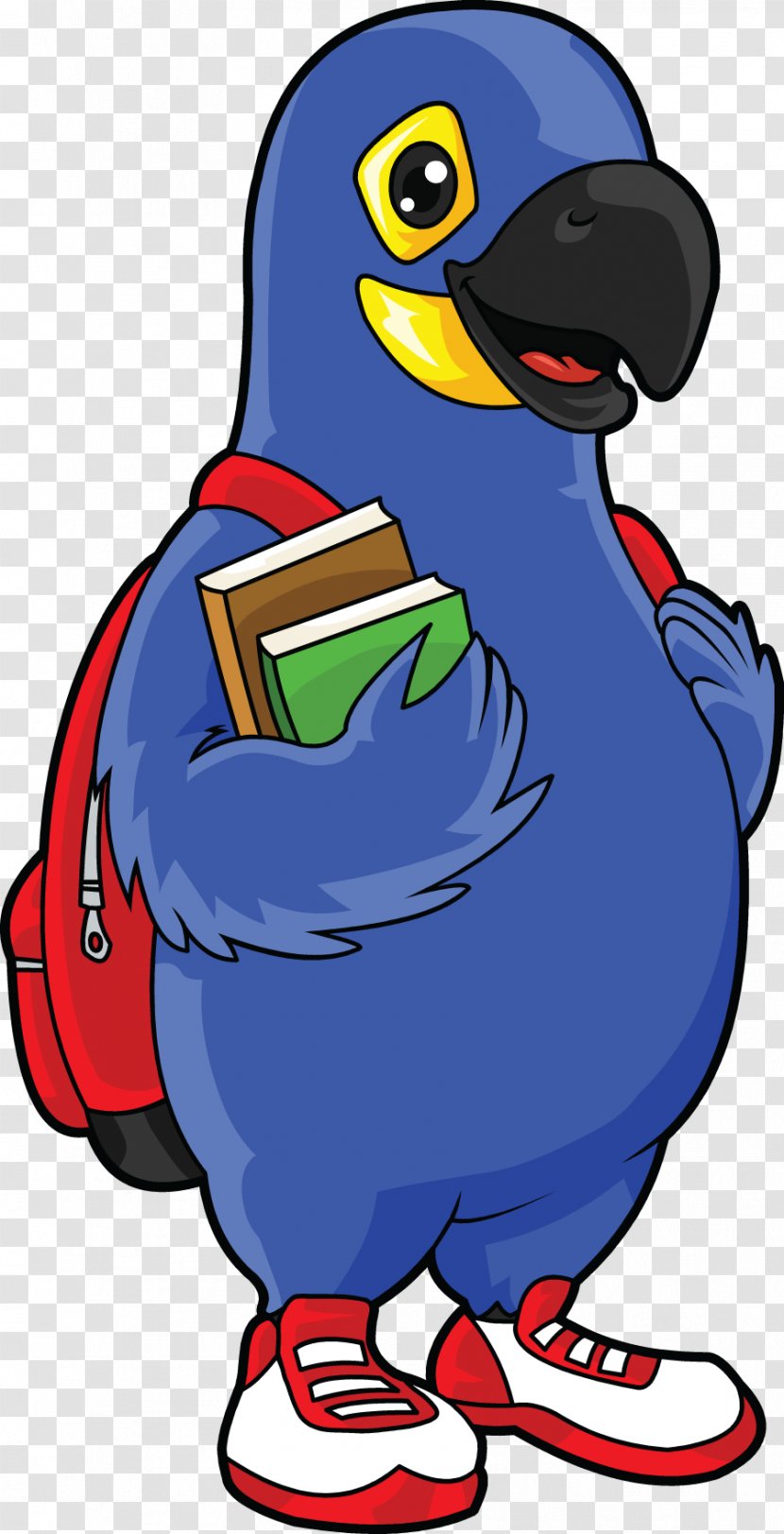 Spanish Schoolhouse Periquito Azul Language Immersion - Beak - Blue Parrot Transparent PNG