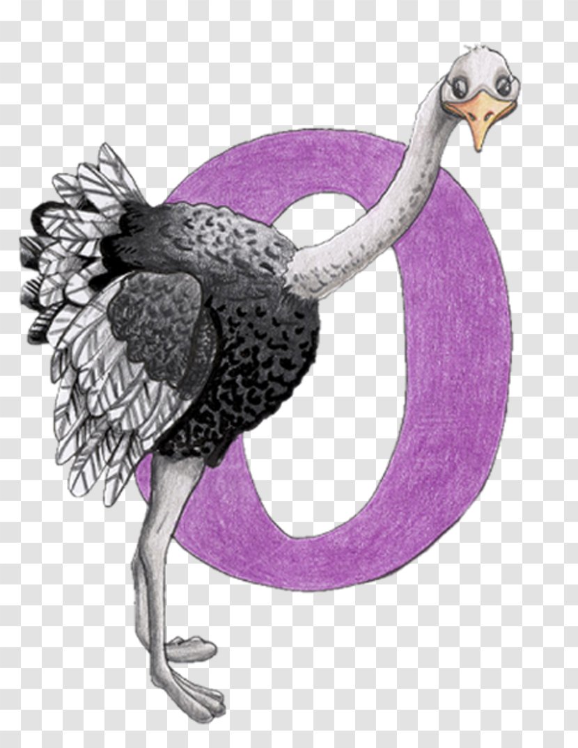 Alphabet Bird Material Didàctic Common Ostrich - Chicken - L.O.L Transparent PNG