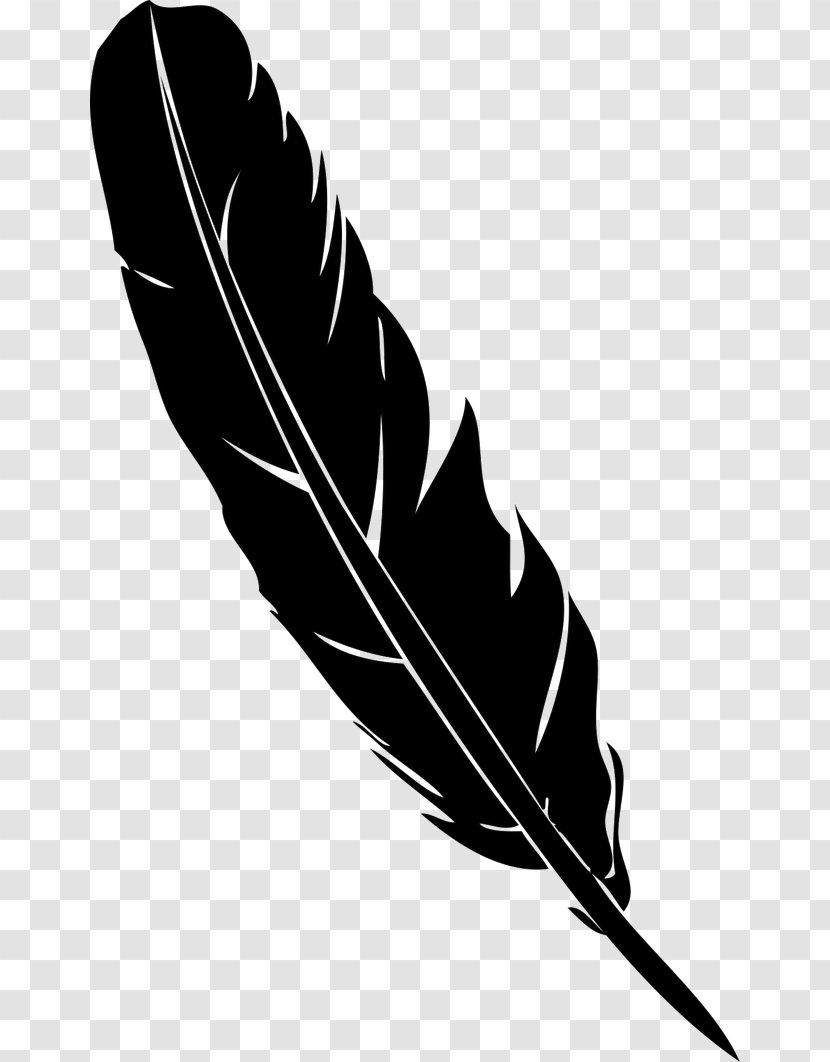 Feather Pen Quill Euclidean Vector - Black Transparent PNG