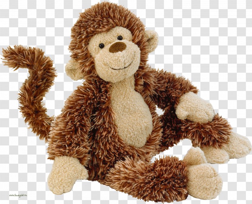 Monkey Ape Cat Stuffed Toy Plush - Flower Transparent PNG