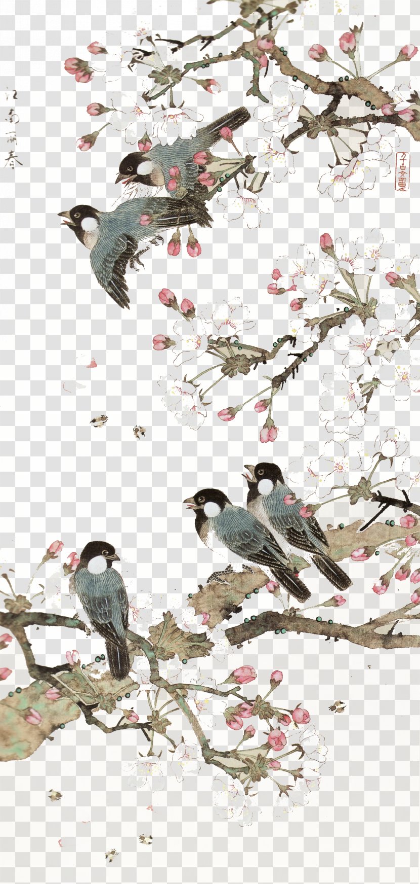 China Bird-and-flower Painting Chinese Art - Bird Background Transparent PNG