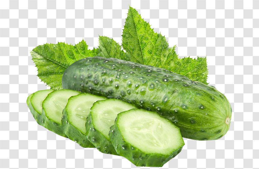 Vegetable Pickled Cucumber Slicing Fruit - Green Transparent PNG