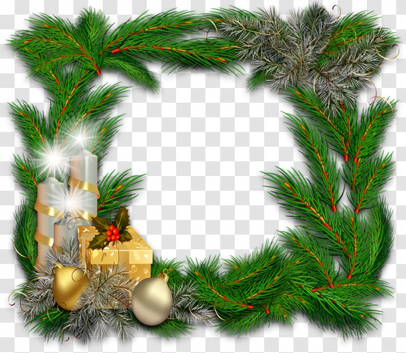 Christmas Frame Border Decor - Fir Conifer Transparent PNG