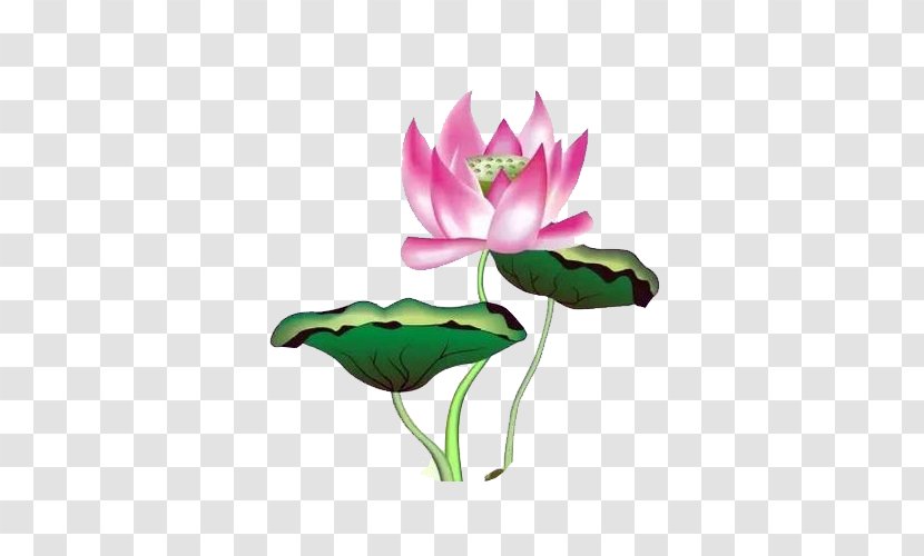 U756bu8377u82b1 Nelumbo Nucifera Hand Fan Ink Wash Painting - Floral Design - Rat Painted Green Lotus Leaf Flower Material Transparent PNG