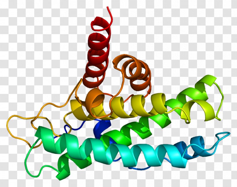 Retinoblastoma Protein Cell Cycle Production - Transcription Factor - Dna Gene Transparent PNG