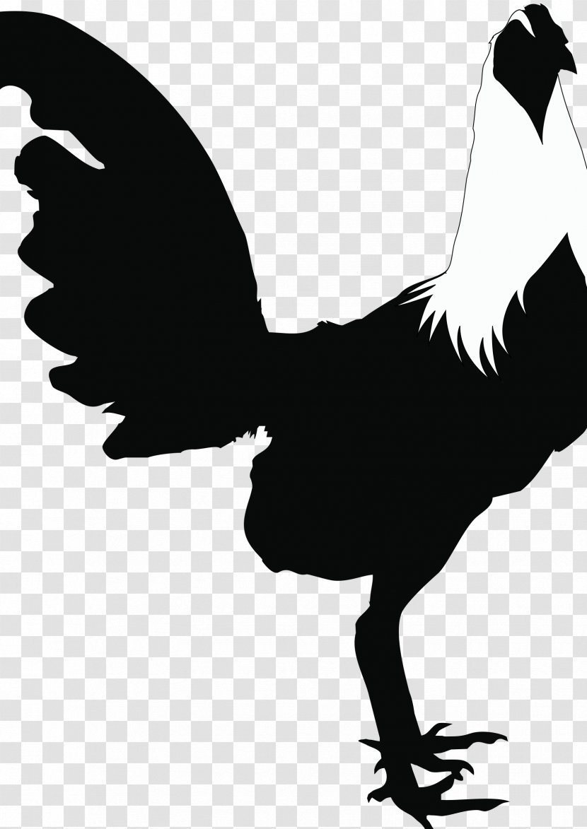 Rooster Cochin Chicken Andalusian Houdan Silhouette - Tetuxe Gravel Black And White Transparent PNG
