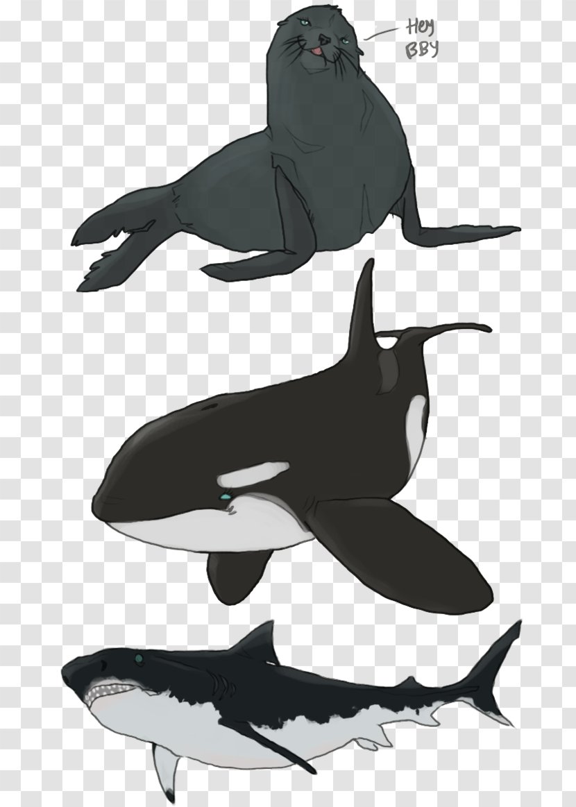 Killer Whale Dolphin Flightless Bird Beak - Black And White - Underwater Creatures Transparent PNG