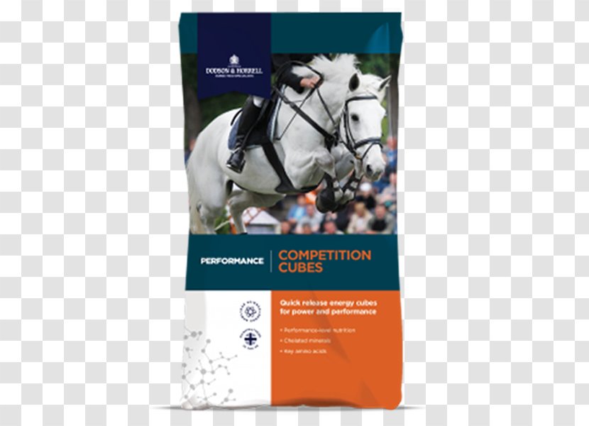 Horse Show Jumping Equestrian Competition Transparent PNG