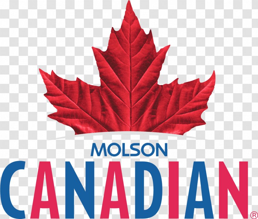 Molson Brewery Beer Canada Canadian Coors Brewing Company Transparent PNG