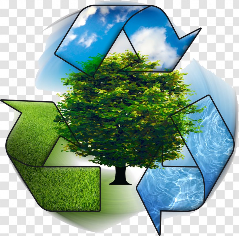 Recycling Symbol Natural Environment Environmental Management System Concept Transparent PNG
