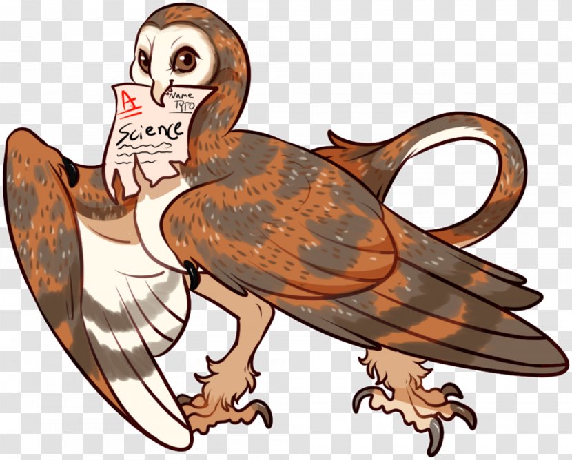 Owl Bird Of Prey Mutation Genetics - Animal Transparent PNG