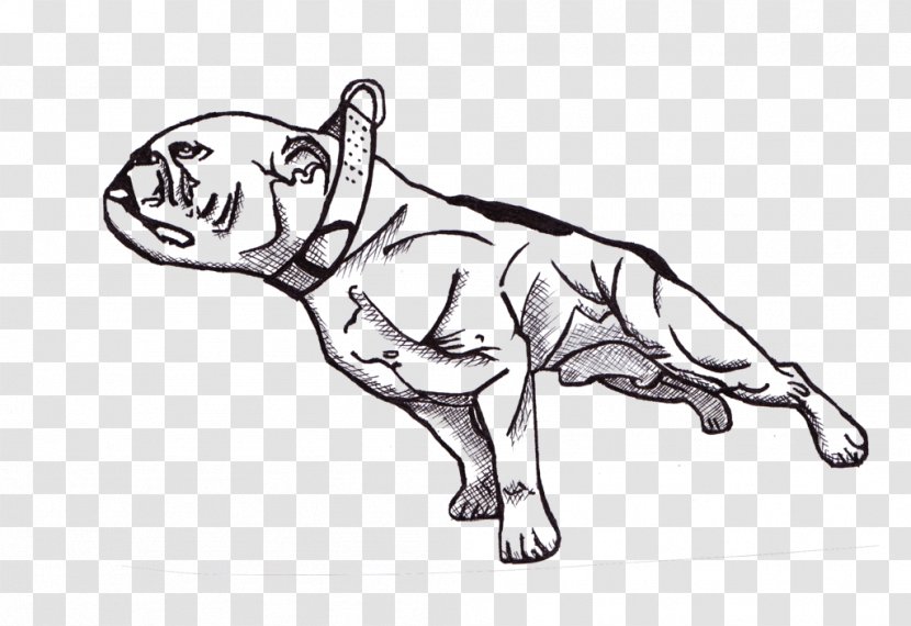 Dog Breed Non-sporting Group Horse Snout - Staffordshire Bull Terrier Transparent PNG
