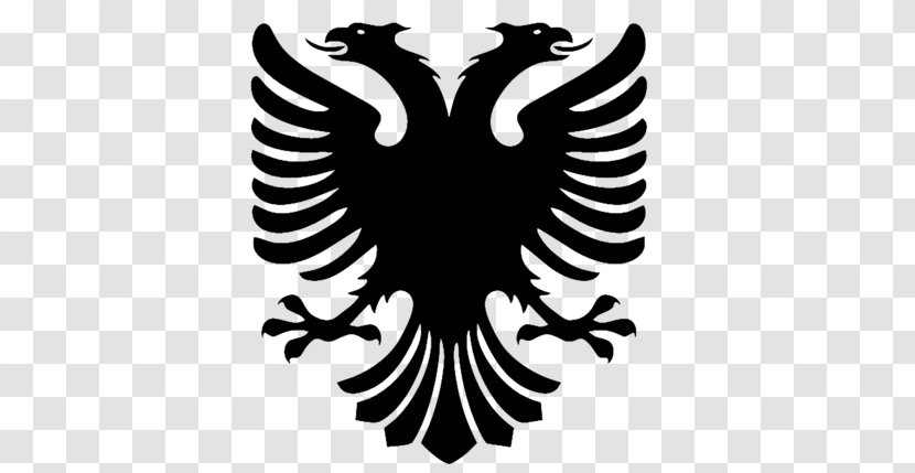 Flag Of Albania T-shirt Double-headed Eagle Albanian Language - Bird - Double Headed Transparent PNG