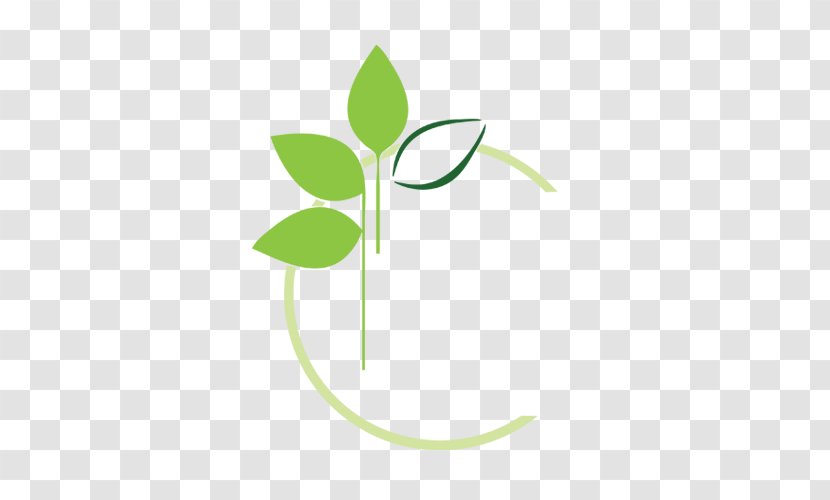 Leaf Logo Brand Font - Plant Stem Transparent PNG
