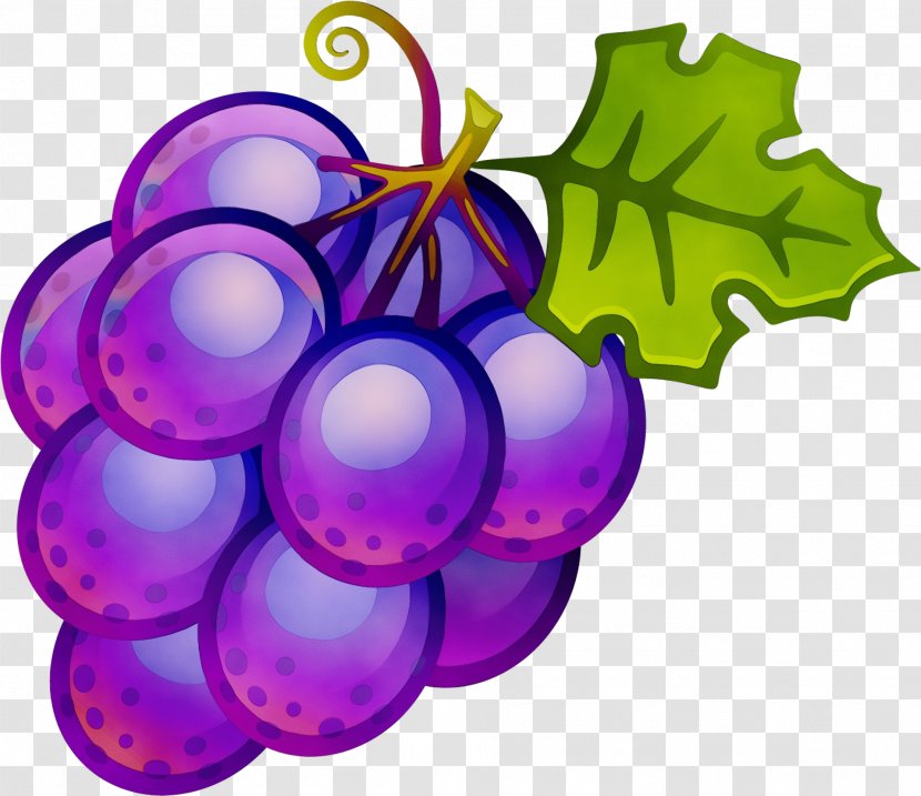 Christmas Decoration Cartoon - Fruit - Ornament Transparent PNG